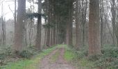 Trail Walking Lobbes - bois du Baron 1 - Photo 3