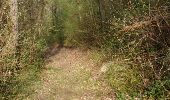 Trail Walking Buno-Bonnevaux - buno bonneveau - Photo 1