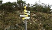 Trail Walking Loubaresse - Tanargue jour 2 - Photo 8