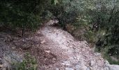 Trail Walking Loubaresse - Tanargue jour 2 - Photo 3