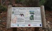 Trail Walking Loubaresse - Tanargue jour 2 - Photo 13