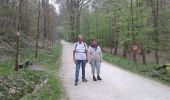 Trail Walking Tervuren - Tervuren - Photo 3