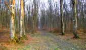 Trail Walking Longpont - en forêt de Retz_24_Longpont_MF du Rond de la Reine_AR - Photo 14