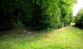 Trail Walking Longpont - en forêt de Retz_24_Longpont_MF du Rond de la Reine_AR - Photo 7