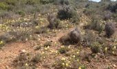 Tocht Stappen Saint-Antonin-sur-Bayon - Saint Antonin Sainte Victoire - Photo 1