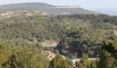 Trail Walking Aix-en-Provence - bibemus - barrage Zola - Photo 2