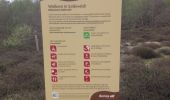 Randonnée Marche nordique La Haye - Ockenburgh en natuurpark Solleveld  - Photo 14