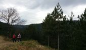 Tour Wandern Saint-André-Lachamp - pont de la brouse - Photo 19