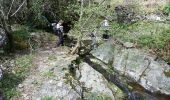 Tour Wandern Saint-André-Lachamp - pont de la brouse - Photo 14