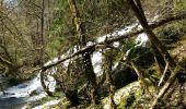 Trail Walking Le Châtelard - Cascade de Pissieux  - Photo 4