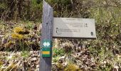 Tocht Stappen Le Châtelard - Cascade de Pissieux  - Photo 3