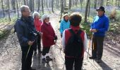 Randonnée Marche nordique Hal - 2014-04-10 bois de Hal. Colipain à Hogeberm - Photo 11