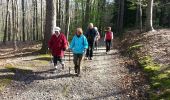 Tour Nordic Walking Halle - 2014-04-10 bois de Hal. Colipain à Hogeberm - Photo 10