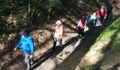 Trail Nordic walking Halle - 2014-04-10 bois de Hal. Colipain à Hogeberm - Photo 9