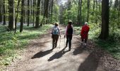 Trail Nordic walking Halle - 2014-04-10 bois de Hal. Colipain à Hogeberm - Photo 6