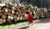 Randonnée Marche nordique Hal - 2014-04-10 bois de Hal. Colipain à Hogeberm - Photo 2