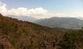 Trail Walking Pontaix - Pontaix-Col de Vachères  - Photo 2