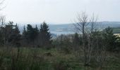 Tocht Mountainbike Tence - lac de devesset - Photo 2