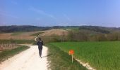 Trail Walking Chitry - marche chitry 2014 - Photo 3