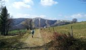 Trail Walking Linthal - Markstein - Photo 10
