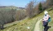 Trail Walking Linthal - Markstein - Photo 19