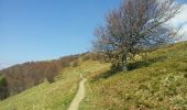 Trail Walking Linthal - Markstein - Photo 18