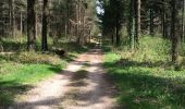 Trail Walking Lauroux - labeil variante - Photo 10