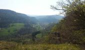 Randonnée Course à pied Chamesol - grotte du château des roches - Photo 7