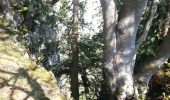 Randonnée Course à pied Chamesol - grotte du château des roches - Photo 5