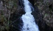 Trail Walking Saint-Bonnet-le-Courreau - Cascades de Chorsin - Photo 3