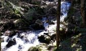 Trail Walking Saint-Bonnet-le-Courreau - Cascades de Chorsin - Photo 2