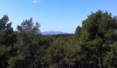 Tour Wandern Salon-de-Provence - PF-Le Talagard - La Pastorale - Photo 5