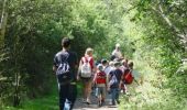 Randonnée Marche Étaples - Le sentier du Rombly - Etaples - Photo 5