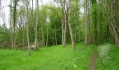 Trail Walking Longvilliers - Le bois de Longvilliers - Photo 5
