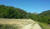 Trail Other activity Gigondas - boucle suppl pallieres - boris - Photo 2