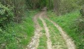 Trail Walking Dinant - Moulin de Lisogne 14,3 Km - Photo 17