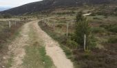Trail Walking Largentière - Le Tanargue en 2 jours - Photo 10