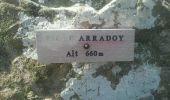 Tour Wandern Ispoure - Pic d'ARRADOY Ispoure - Photo 1