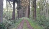 Trail Walking Lobbes - bois du baron 1 - Photo 5