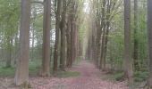 Trail Walking Lobbes - bois du baron 1 - Photo 2