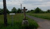 Tocht Stappen Rouffignac-Saint-Cernin-de-Reilhac - Rouffignac - Photo 2