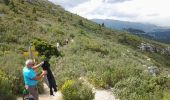 Trail Walking Aubagne - Les pas de PAGNOL - Photo 17