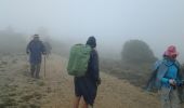 Trail Walking Aubagne - Les pas de PAGNOL - Photo 15