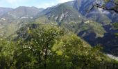 Tour Wandern Malaussène - Malaussene Mt Vial - Photo 7