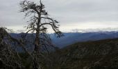 Excursión Senderismo Malaussène - Malaussene Mt Vial - Photo 6