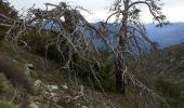 Tour Wandern Malaussène - Malaussene Mt Vial - Photo 5