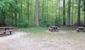 Tour Wandern Halle - hallerbos jacinthe - Photo 1