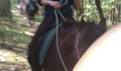 Trail Equestrian Zutendaal - zutendaal 4 - Photo 6
