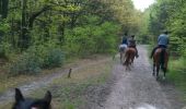 Trail Equestrian Zutendaal - zutendaal 4 - Photo 3