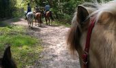 Trail Equestrian Zutendaal - zutendaal 4 - Photo 2